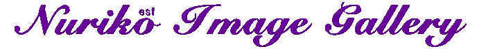 3dtext_14505.gif